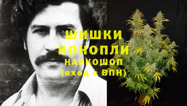 СК Елабуга