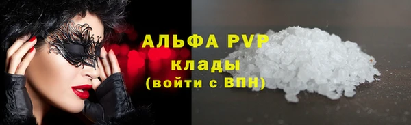 СК Елабуга