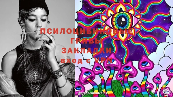 СК Елабуга