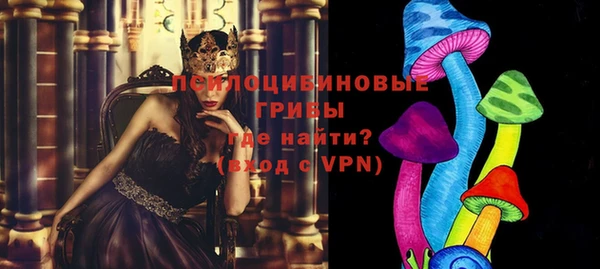 СК Елабуга